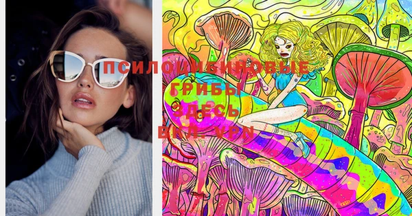 гашик Кукмор
