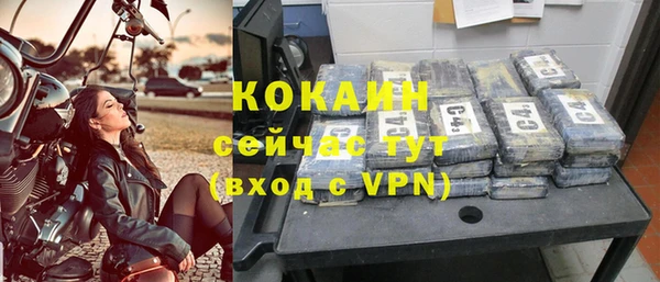 гашик Кукмор